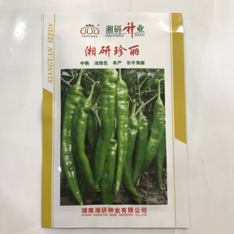 香辣1000辣椒种子长线椒种子线椒种植基地专用品种