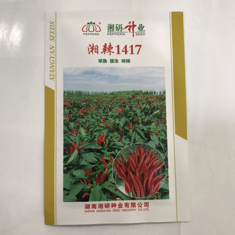 香辣1000辣椒种子长线椒种子线椒种植基地专用品种