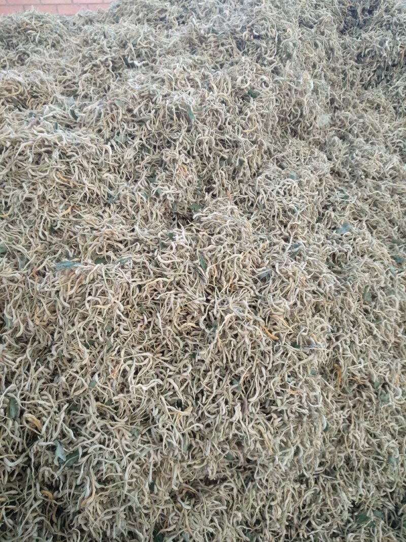 金银花，山东产地，一级好统货，无杂，无叶