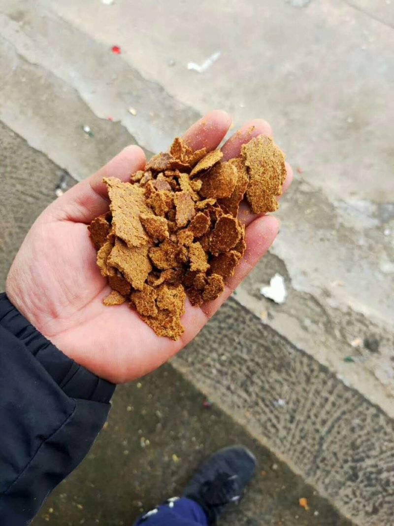 带壳加工的花生饼