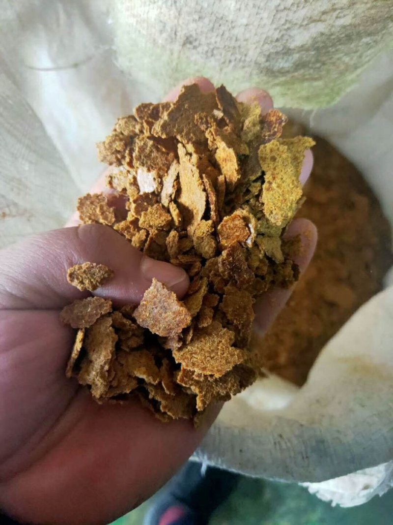 带壳加工的花生饼