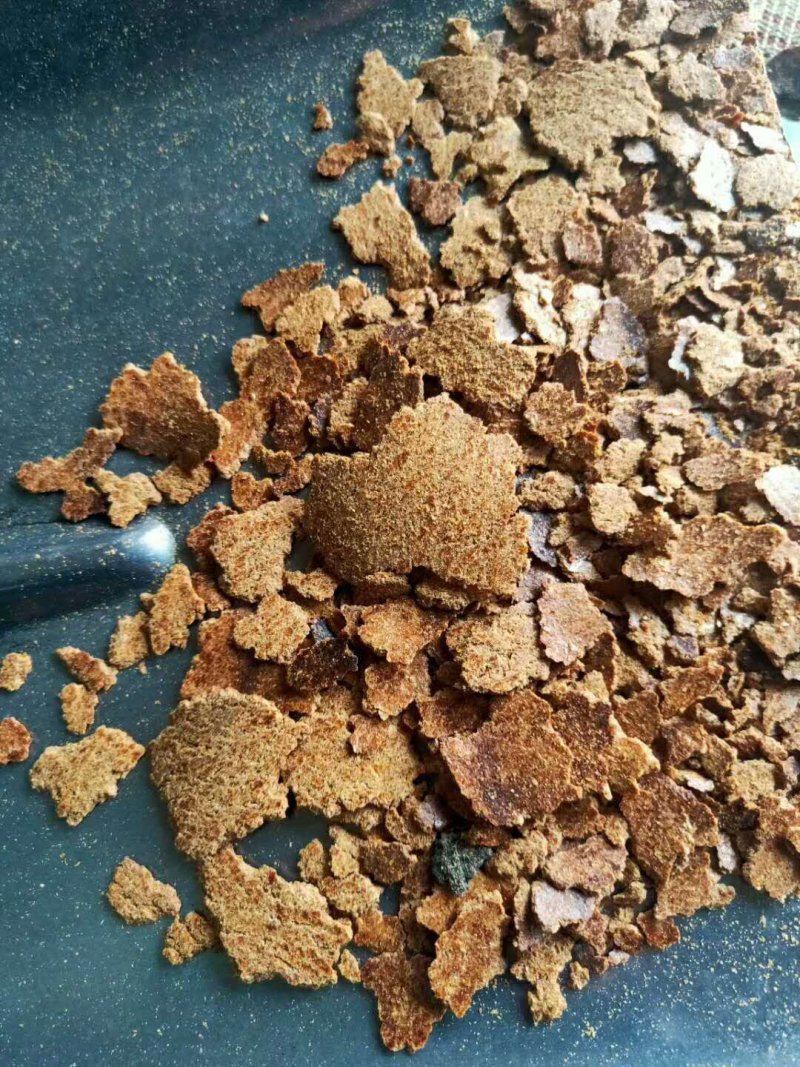 带壳加工的花生饼