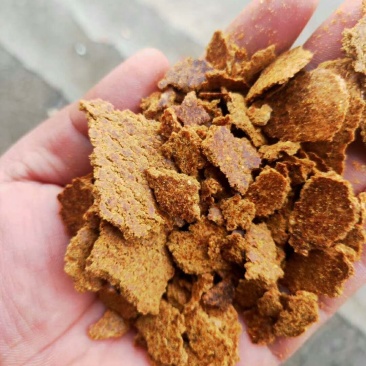 带壳加工的花生饼