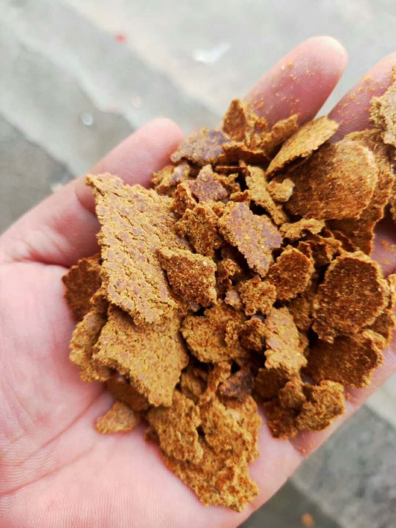 带壳加工的花生饼