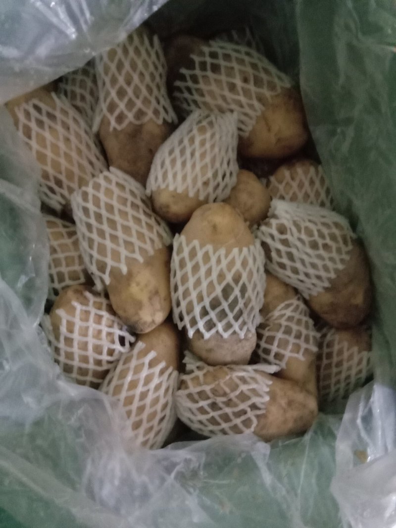 土豆