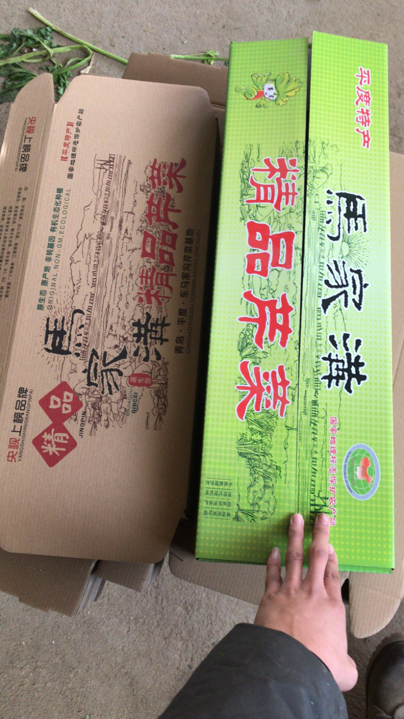 芹菜