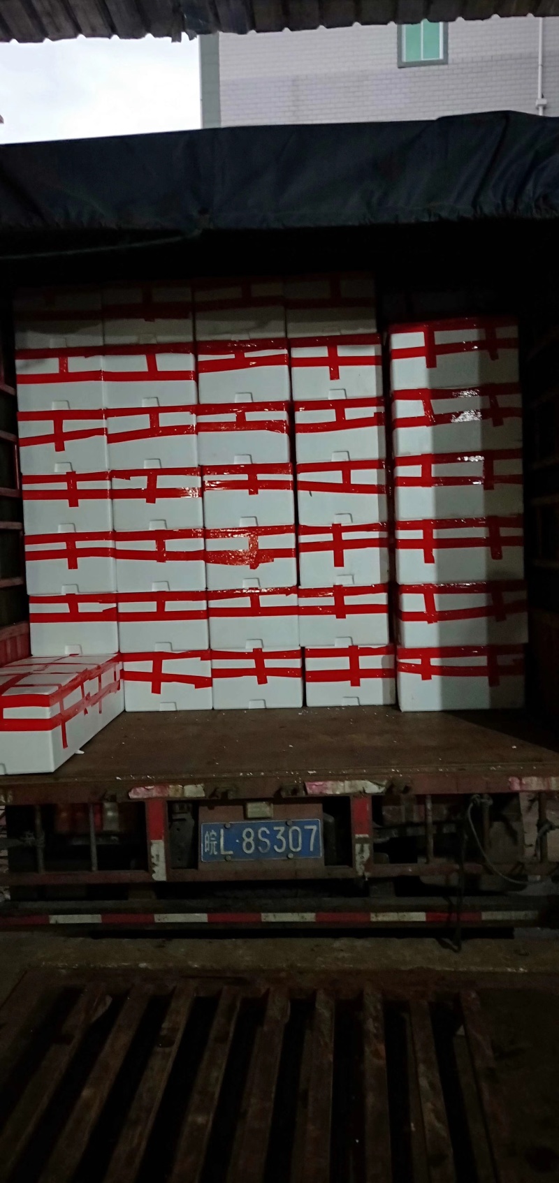 【精选空心菜】精品空心菜产地直发口感好诚信经营价格