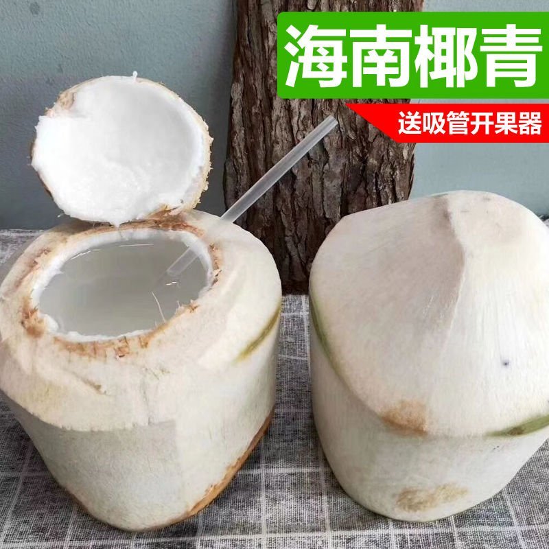 海南椰青9个装包邮批发零售一件代发椰子去皮椰