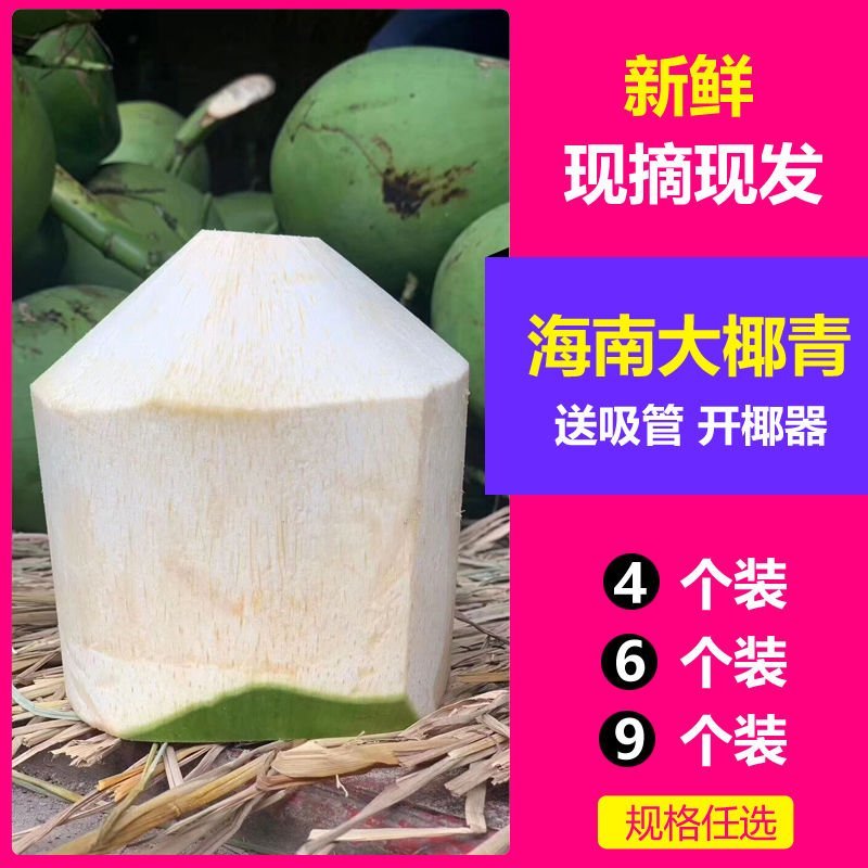 海南椰青9个装包邮批发零售一件代发椰子去皮椰