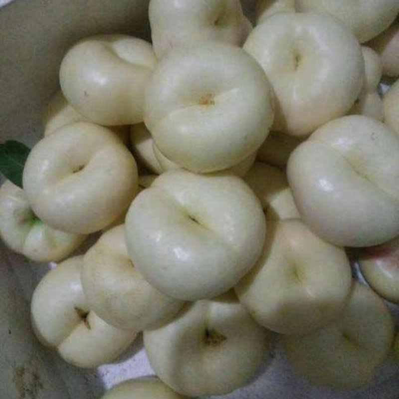 我苗木园常年精心培育好的优良品种，白奶油蟠桃苗