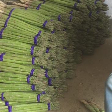 芦笋新鲜芦笋精品芦笋大芦笋绿芦笋