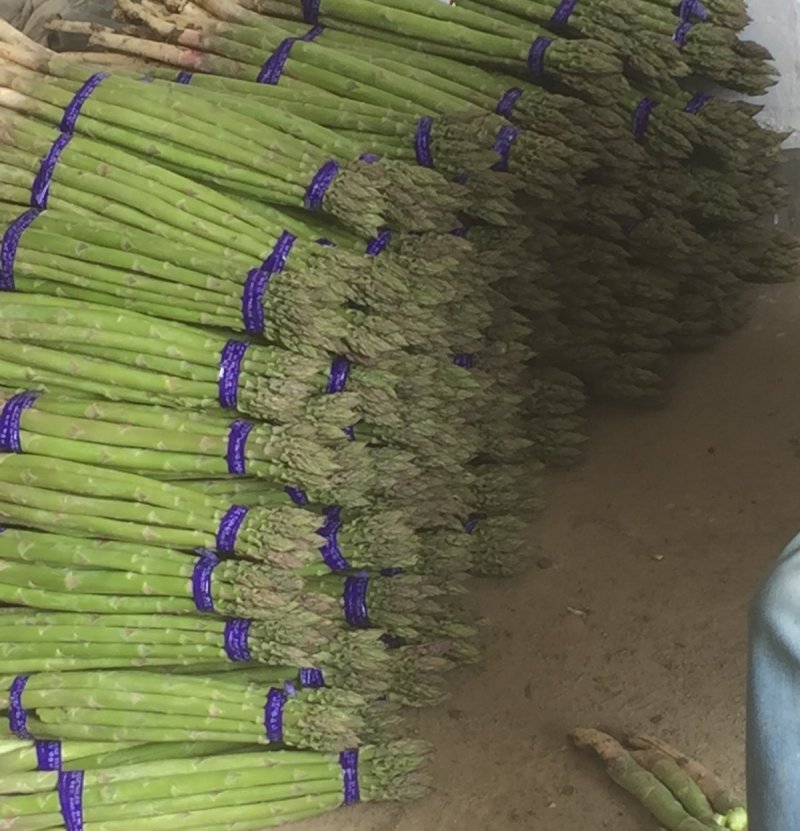 芦笋新鲜芦笋精品芦笋大芦笋绿芦笋