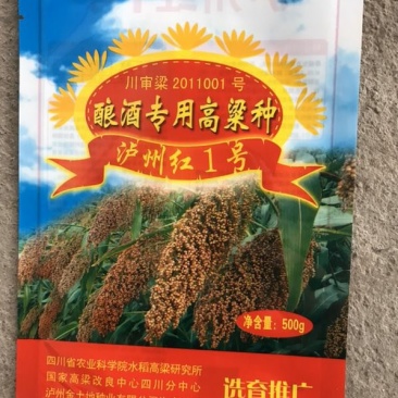 酿酒糯高粱种子泸州红，郎糯红，金糯粱，川糯粱，高粱种子