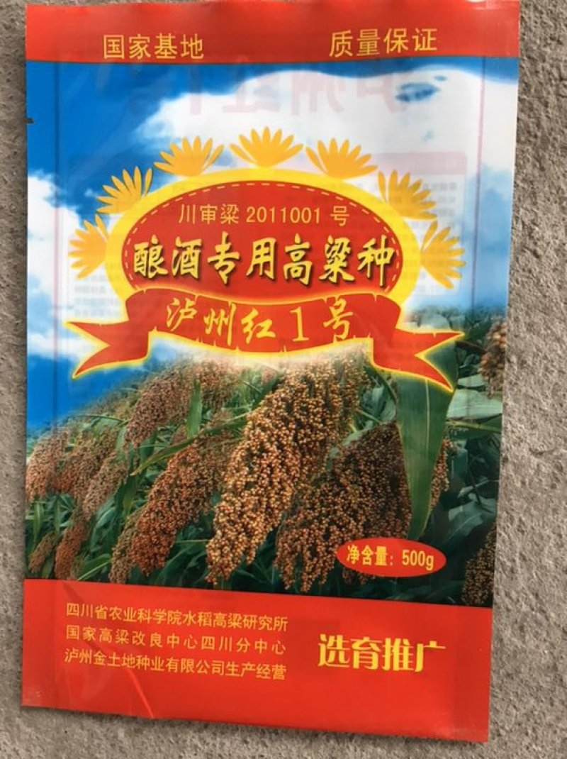 酿酒糯高粱种子泸州红，郎糯红，金糯粱，川糯粱，高粱种子