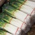大葱山东大葱铁杆大葱葱杆长专业加工净葱