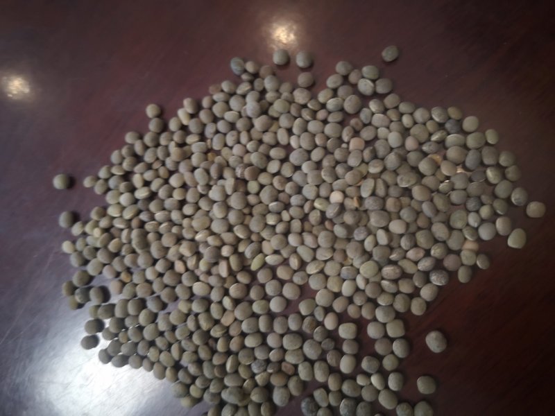 箭舌豆，精品野豌豆基地直供支持视频看货欢迎选购