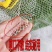 厂家直销鸡网子家禽养殖网围网菜园防护网包邮