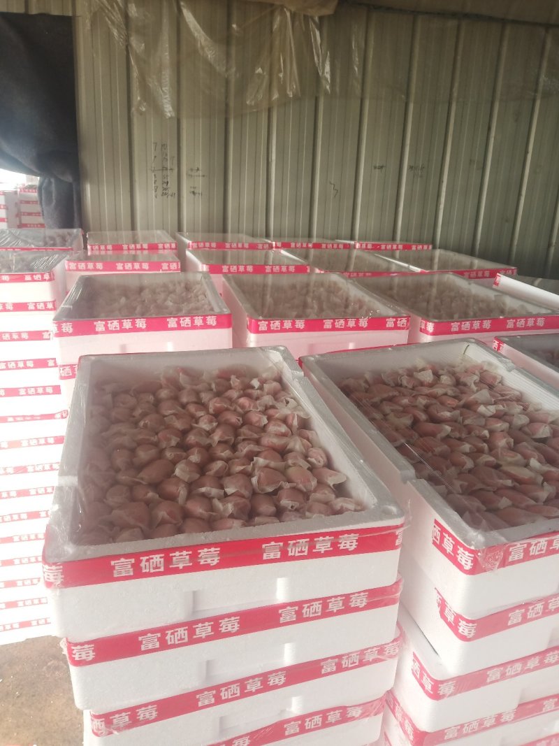 套袋草莓免洗草莓产地直供支持商超市场平台