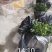 沙糖桔苗40~100cm成活率高现挖现发
