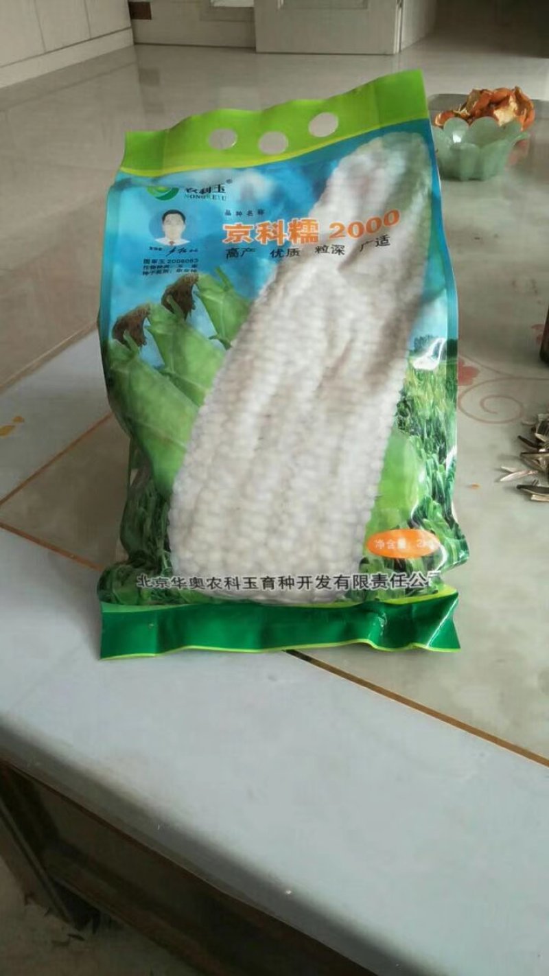 高产糯玉米种子质量保证绝无欺骗，市场畅销品种