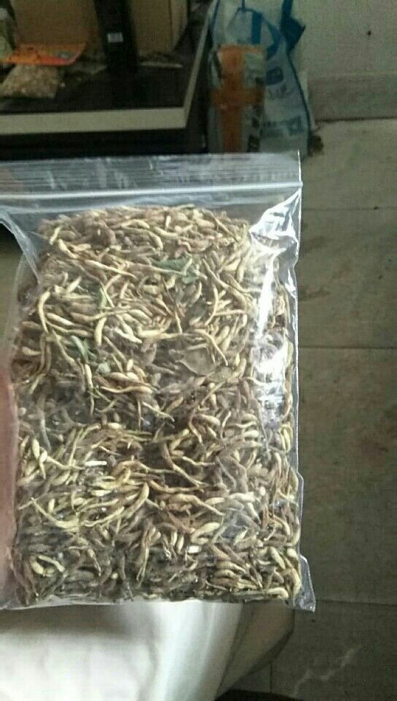 山东金银花优质农产品农户自产自销