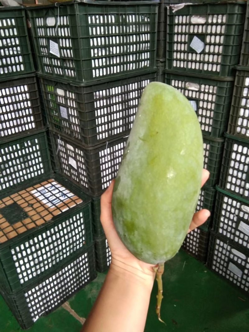 大芒果越南大青芒