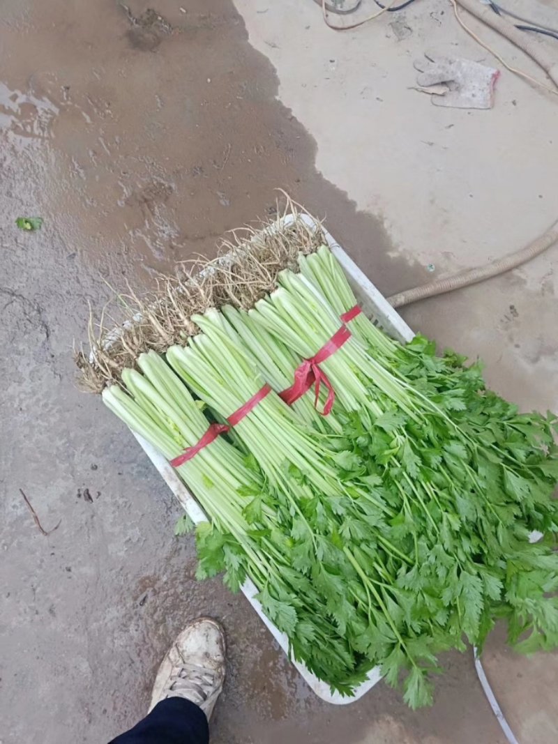 疏菜