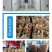 狮头鹅苗,质量保证,包疫苗包运输成活