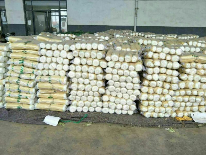 山平阴北京新三号大白菜冷库储存大量出库，质量好，无烧心