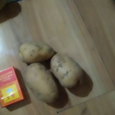 土豆有荷兰十五黄心806等等
