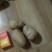 土豆有荷兰十五黄心806等等