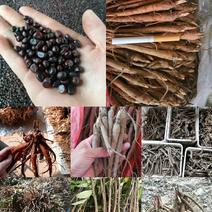 赤芍籽，赤芍种子，新种子，人工挑拣，无杂质发芽率高