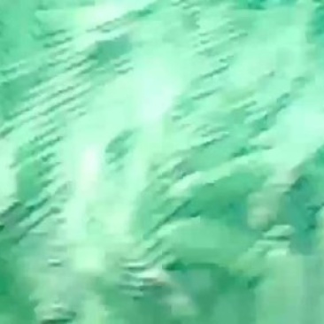 蚕豆过两天开始收第二次了，全国发货
