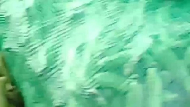 蚕豆过两天开始收第二次了，全国发货
