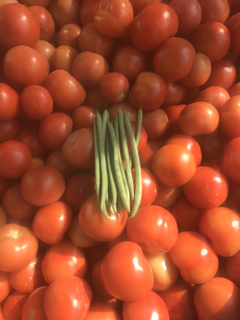 精品小果番茄（红果）产地直发诚信代办代发
