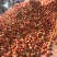 精品小果番茄（红果）产地直发诚信代办代发