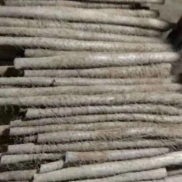 白玉山药