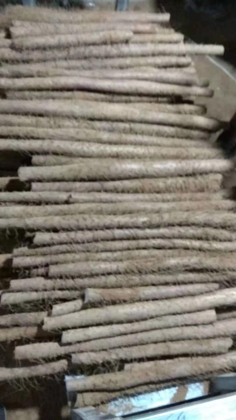 白玉山药