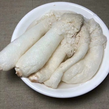 红托竹荪