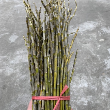 新鲜叠峭石斛鲜条煲汤泡茶包邮