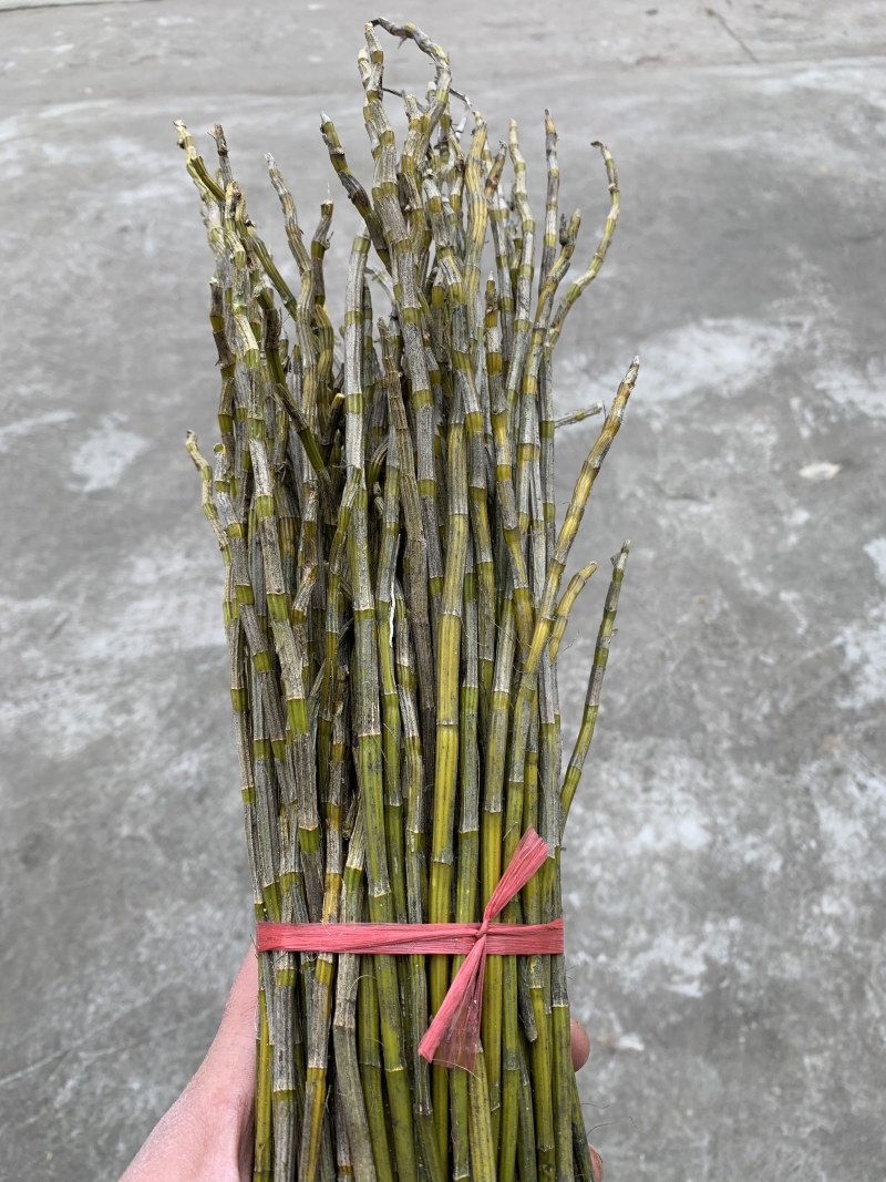 新鲜叠峭石斛鲜条煲汤泡茶包邮