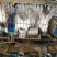 常年供应伊拉兔肉兔种兔商品兔家庭养殖兔农村养殖肉兔伊拉