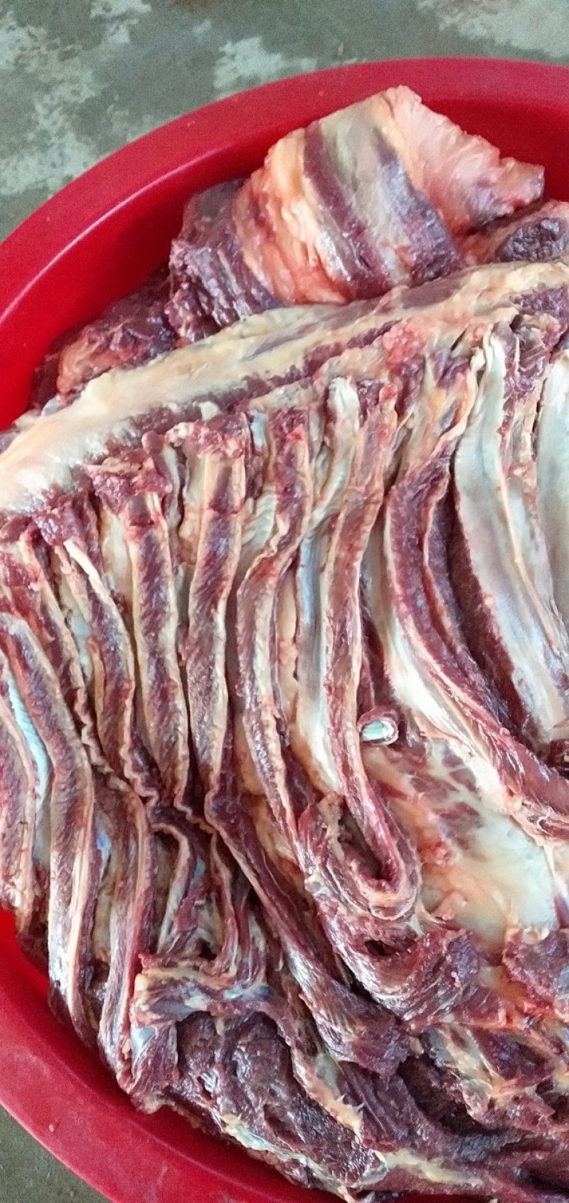 鲜马肉，保证纯干货，自己养殖场一手货源，让您买的放心，送