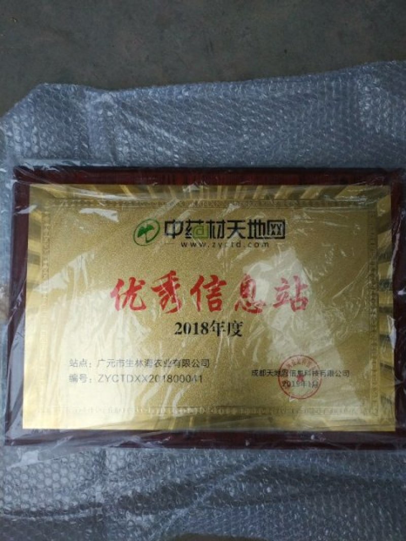 野生带根淫羊藿，含量好圆叶，羊角叶、仙灵脾，色青