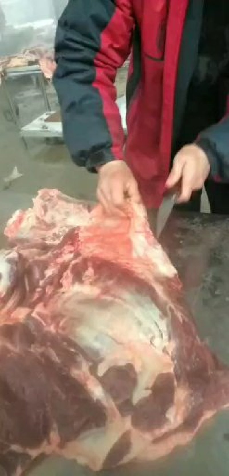 鲜马肉，保证纯干货，自己养殖场一手货源，让您买的放心，送