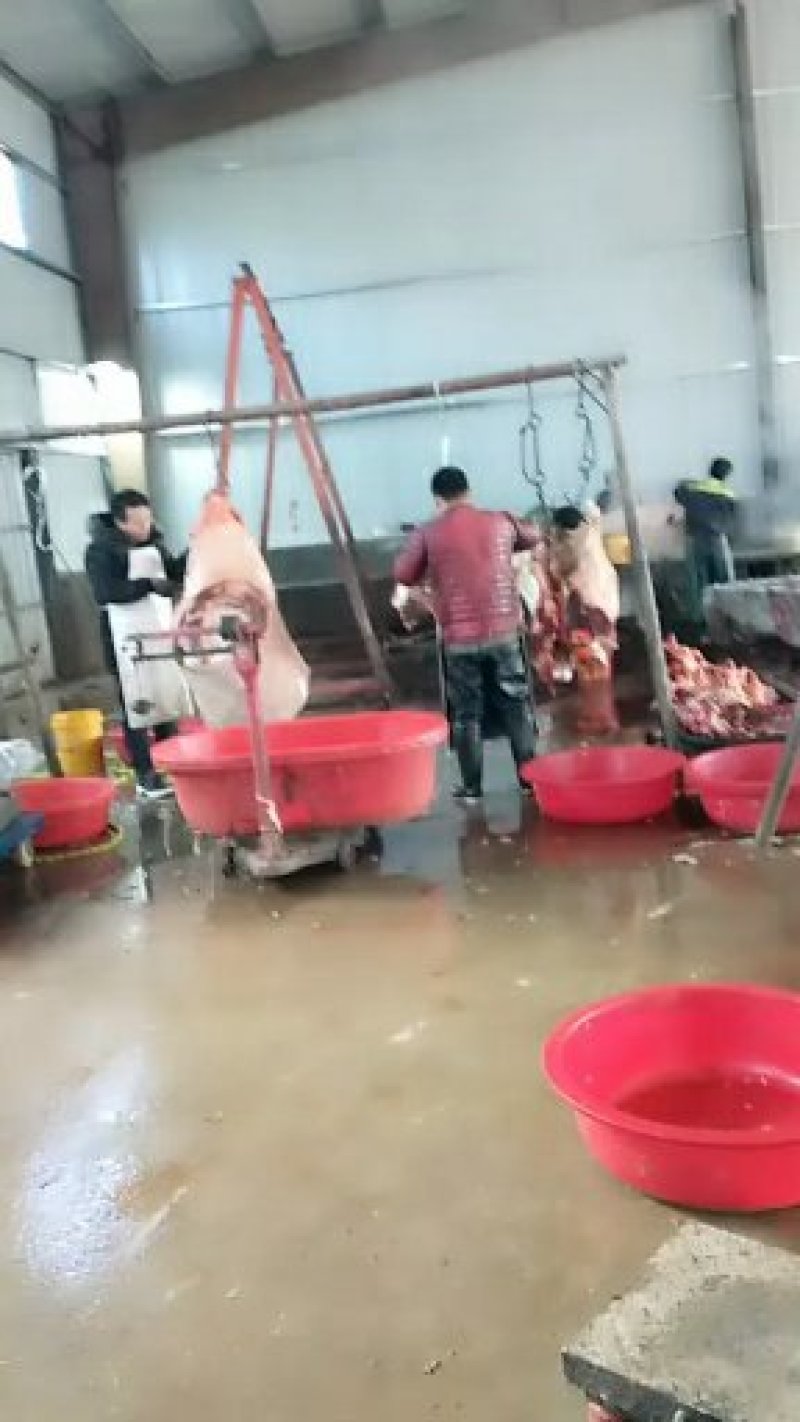鲜马肉，保证纯干货，自己养殖场一手货源，让您买的放心，送