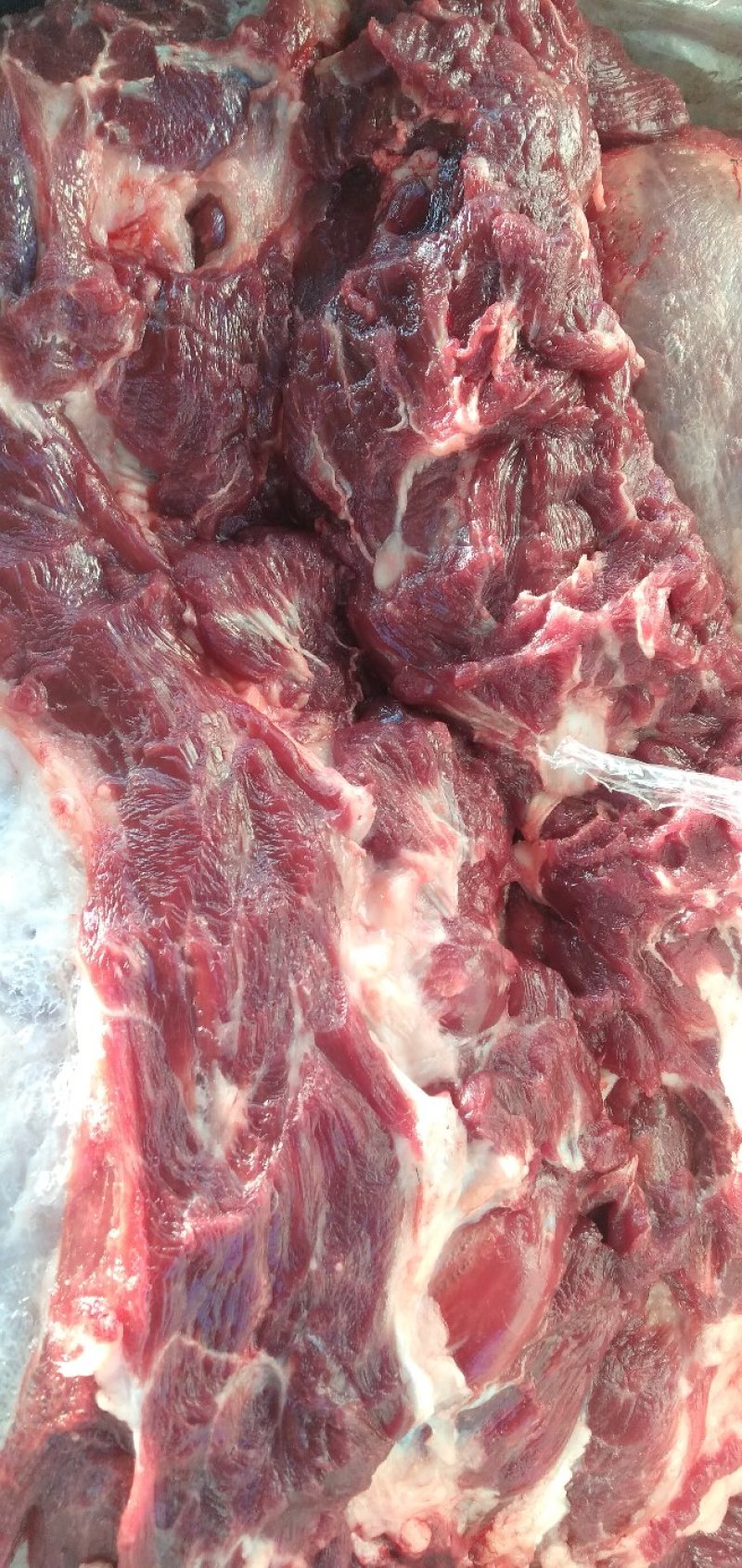 鲜马肉，保证纯干货，自己养殖场一手货源，让您买的放心，送