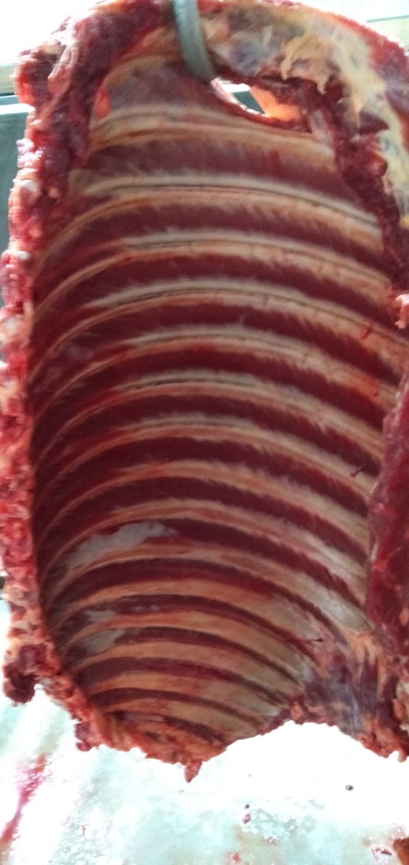 鲜马肉，保证纯干货，自己养殖场一手货源，让您买的放心，送