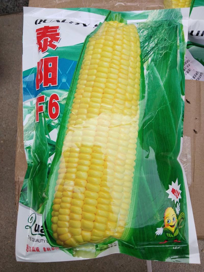 水果玉米种子，质量保证绝无欺骗，市场畅销品种