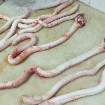 国产纯干大牛鞭，没有鞭根精选无油，